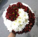 img478577.png