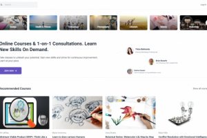 Автоматизированное тестирование сайта по продаже онлайн курсов