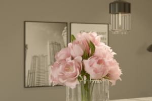 Кухня-гостиная