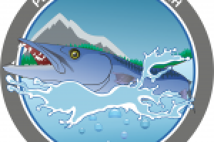 Рыболовный магазин