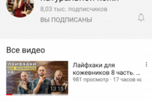 YouTube-канал, Компания "Тавро"