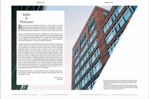 журнальный разворот