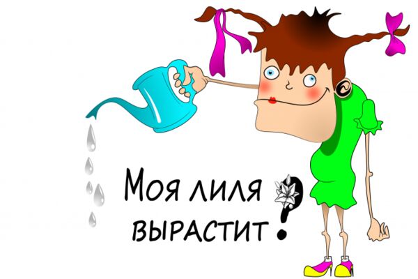 img4259167.png