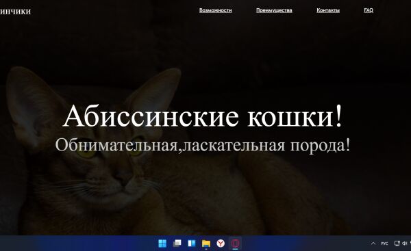 img4193541.png