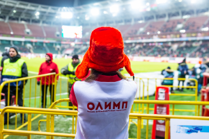 Работа 3670311