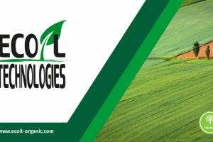 Дизайн презентации