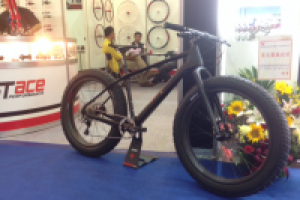 fat-bike