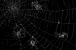 ARTUREZ - Дети Шелоб