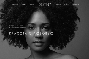 Работа 3260824