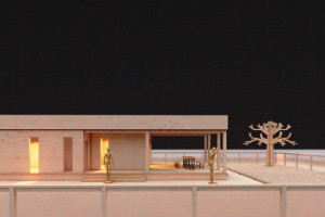 Дача 48 м2, проект "Дача за каникулы" Челябинская область.