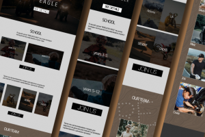 Прототип лендинга для мотошколы