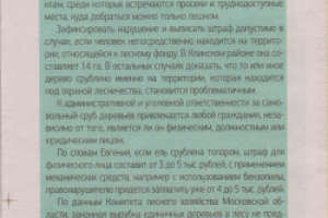 Работа 3552583