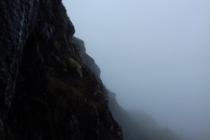 Работа 3552591