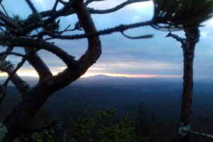 Работа 3552368