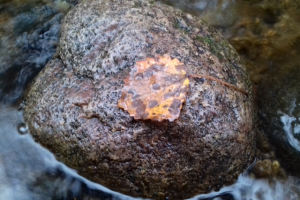 Работа 3552590