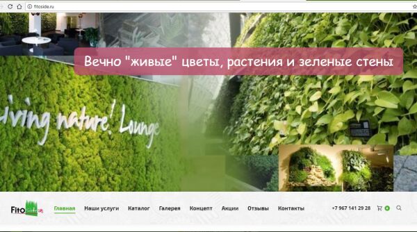 img3365488.png