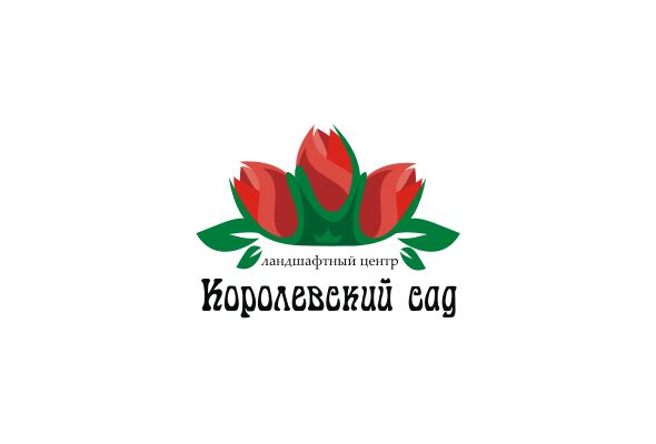 img2619017.png