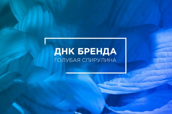 img4119533.png