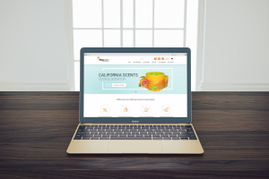 Сайт для немецкого производителя