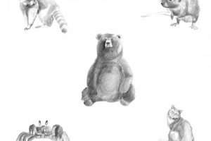 Рисунок карандашом