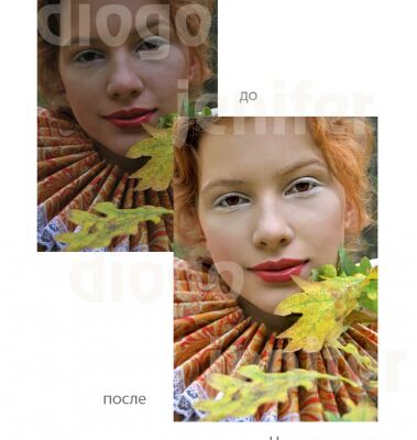 img3297575.png