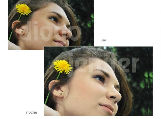 img3297569.png
