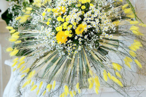 Предметная съемка и последующая цветокоррекция