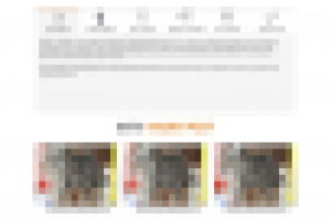 Верстка по макету и натягивание на MODX