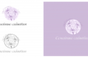 организация праздников