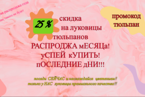 баннер на скидку