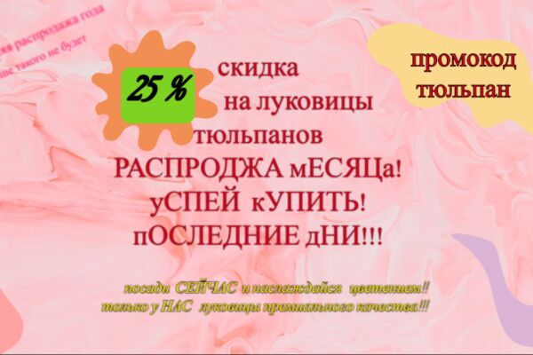 img4427836.png