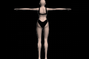 модель человека