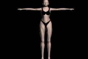 модель человека