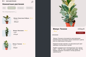 мобильная версия сайта