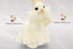 дизайн упаковки