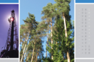 Загадка Газпромнефти. Календарь. Стройное, высокое