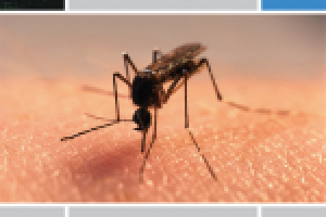 Загадка Газпромнефти. Календарь. Неисчислимое