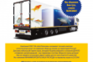 Листовка транспортной компании-1.