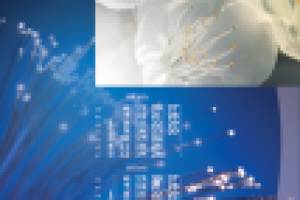 РТКОММ. Природа связи. Календарь