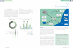 TNK-BP. Годовой отчет