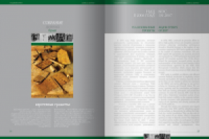 НДЦ. Годовой отчет. Разворот