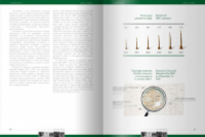 НДЦ. Годовой отчет. Разворот
