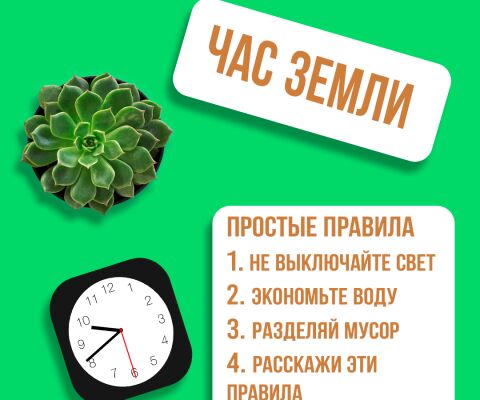img4422853.png