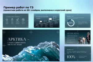 Презентация проекта для университета