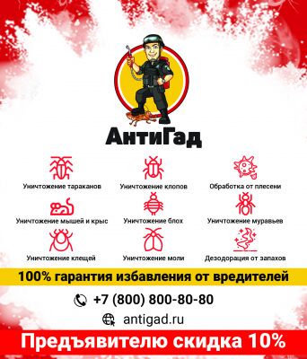 img4433598.png