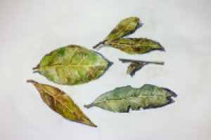 Натюрморт акварелью, А5