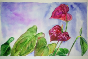 Цветы, акварель.