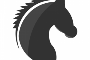 Векторная графика