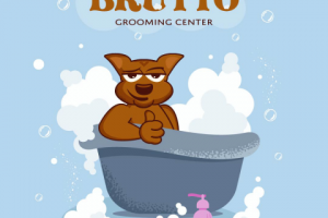 Разработка персонажа для груминг центра