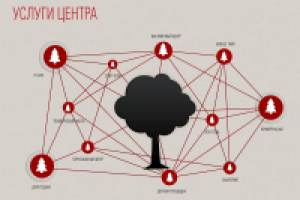Для коммерческого предложения